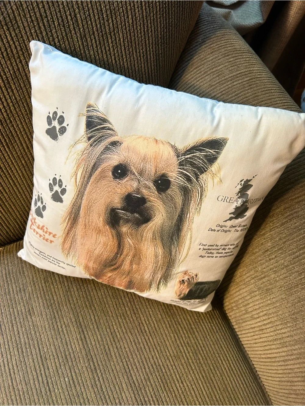 THE WILDSIDE YORKSHIRE TERRIER INFORMATIONAL CREAM/BROWN THROW PILLOW